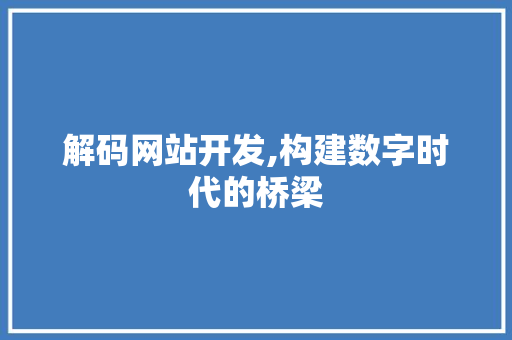 解码网站开发,构建数字时代的桥梁