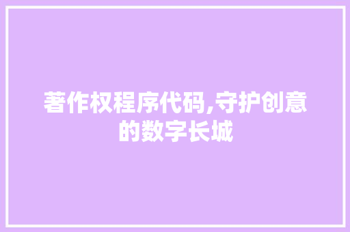 著作权程序代码,守护创意的数字长城