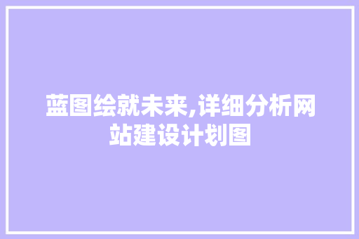 蓝图绘就未来,详细分析网站建设计划图