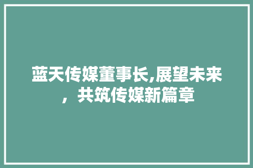 蓝天传媒董事长,展望未来，共筑传媒新篇章