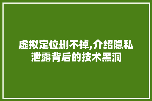 虚拟定位删不掉,介绍隐私泄露背后的技术黑洞 虚拟定位删不掉,介绍隐私泄露背后的技术黑洞 网站建设公司