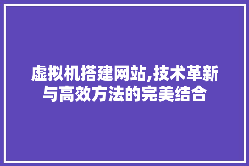 虚拟机搭建网站,技术革新与高效方法的完美结合 虚拟机搭建网站,技术革新与高效方法的完美结合 SEO关键词