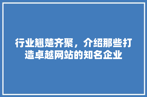 行业翘楚齐聚，介绍那些打造卓越网站的知名企业