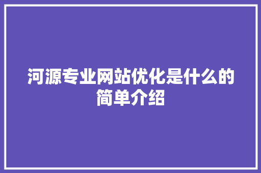 河源专业网站优化是什么的简单介绍