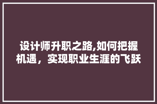 设计师升职之路,如何把握机遇，实现职业生涯的飞跃