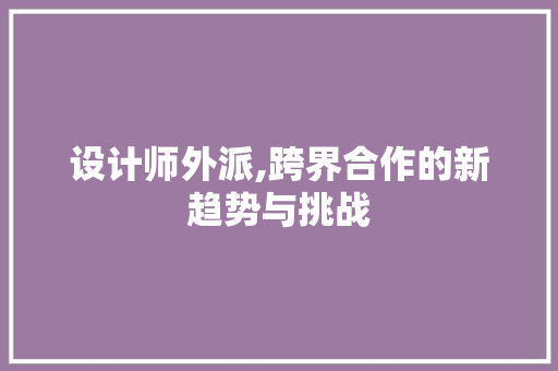 设计师外派,跨界合作的新趋势与挑战
