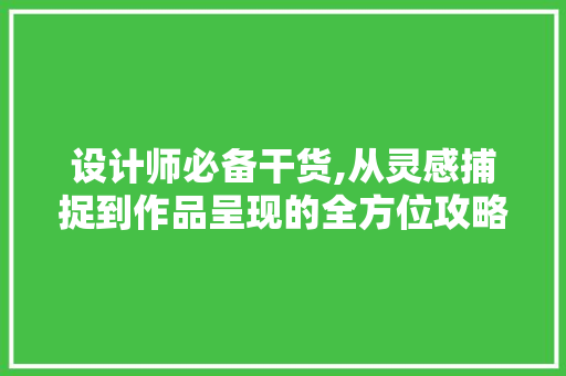 设计师必备干货,从灵感捕捉到作品呈现的全方位攻略