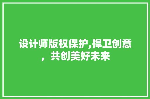 设计师版权保护,捍卫创意，共创美好未来