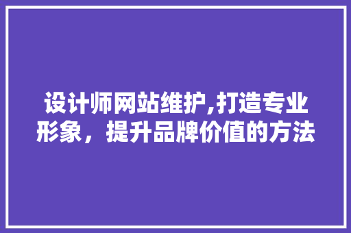 设计师网站维护,打造专业形象，提升品牌价值的方法
