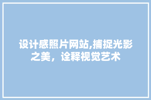 设计感照片网站,捕捉光影之美，诠释视觉艺术