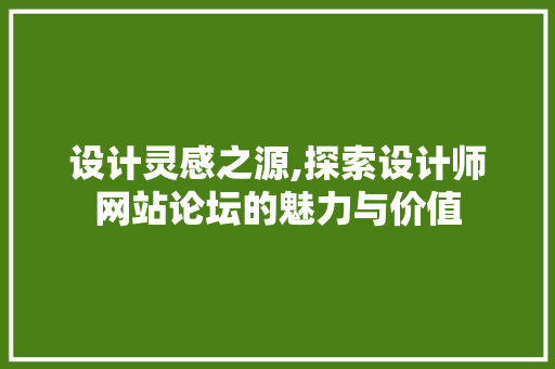 设计灵感之源,探索设计师网站论坛的魅力与价值