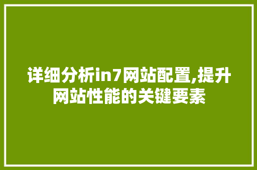 详细分析in7网站配置,提升网站性能的关键要素