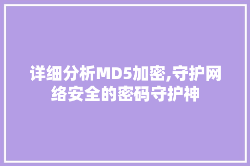 详细分析MD5加密,守护网络安全的密码守护神