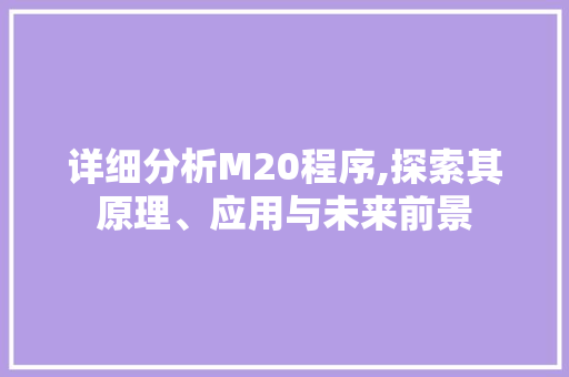 详细分析M20程序,探索其原理、应用与未来前景 详细分析M20程序,探索其原理、应用与未来前景 必应SEO