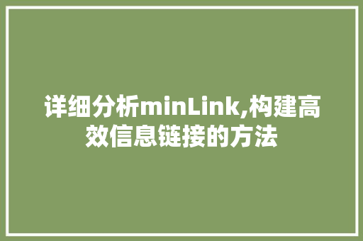 详细分析minLink,构建高效信息链接的方法 详细分析minLink,构建高效信息链接的方法 网站建设公司
