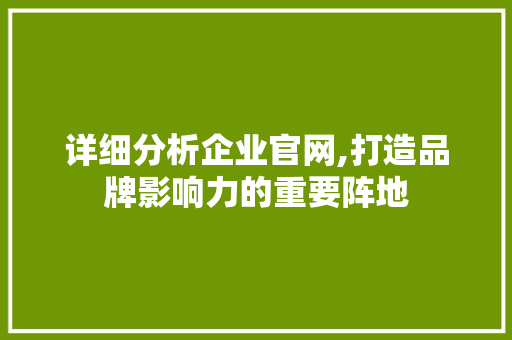 详细分析企业官网,打造品牌影响力的重要阵地 详细分析企业官网,打造品牌影响力的重要阵地 SEO关键词