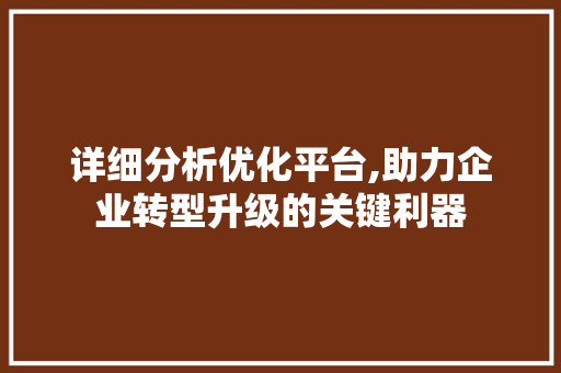 详细分析优化平台,助力企业转型升级的关键利器 详细分析优化平台,助力企业转型升级的关键利器 SEO关键词