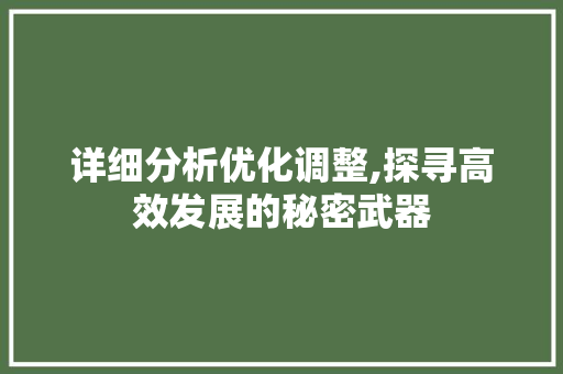 详细分析优化调整,探寻高效发展的秘密武器