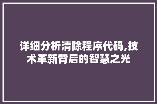 详细分析清除程序代码,技术革新背后的智慧之光 详细分析清除程序代码,技术革新背后的智慧之光 SEO关键词