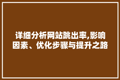 详细分析网站跳出率,影响因素、优化步骤与提升之路
