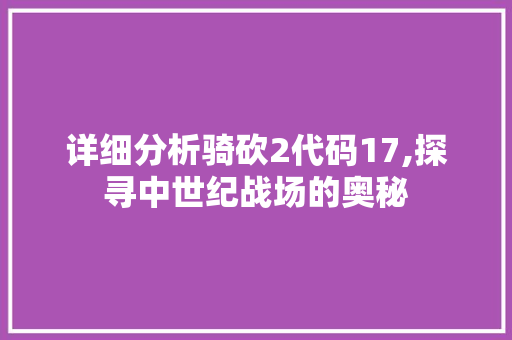 详细分析骑砍2代码17,探寻中世纪战场的奥秘 详细分析骑砍2代码17,探寻中世纪战场的奥秘 搜狗SEO
