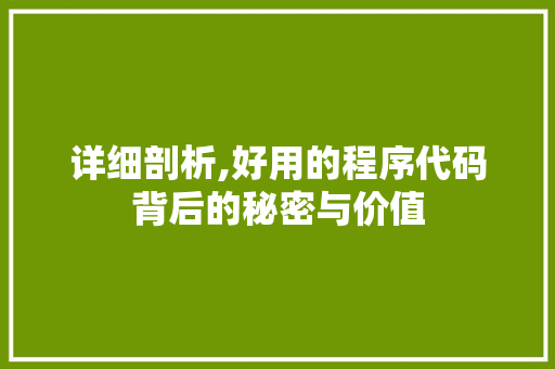 详细剖析,好用的程序代码背后的秘密与价值 详细剖析,好用的程序代码背后的秘密与价值 网站建设公司