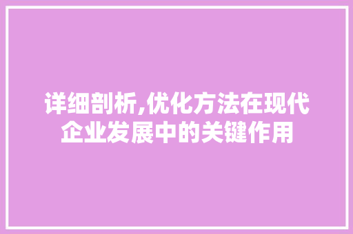 详细剖析,优化方法在现代企业发展中的关键作用 详细剖析,优化方法在现代企业发展中的关键作用 网站建设公司