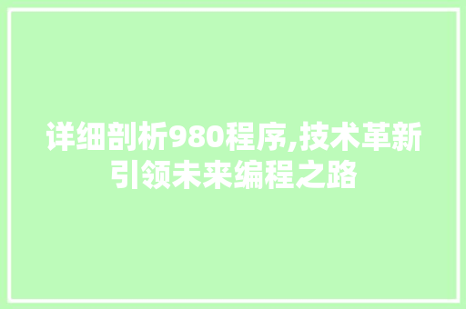 详细剖析980程序,技术革新引领未来编程之路 详细剖析980程序,技术革新引领未来编程之路 网站建设公司