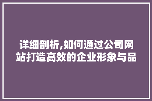 详细剖析,如何通过公司网站打造高效的企业形象与品牌价值 详细剖析,如何通过公司网站打造高效的企业形象与品牌价值 神马SEO