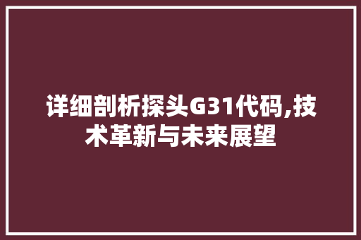 详细剖析探头G31代码,技术革新与未来展望 详细剖析探头G31代码,技术革新与未来展望 网站建设公司