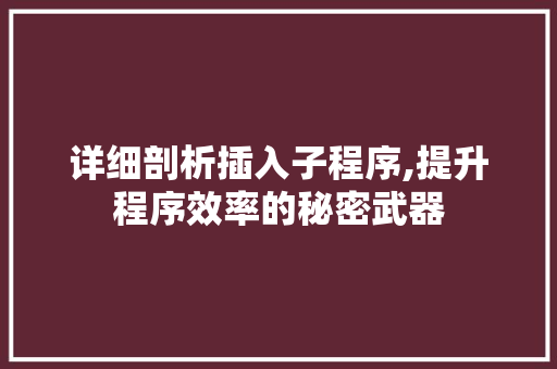 详细剖析插入子程序,提升程序效率的秘密武器