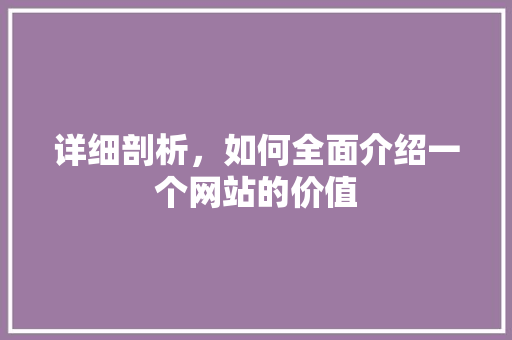 详细剖析，如何全面介绍一个网站的价值 详细剖析，如何全面介绍一个网站的价值 必应SEO