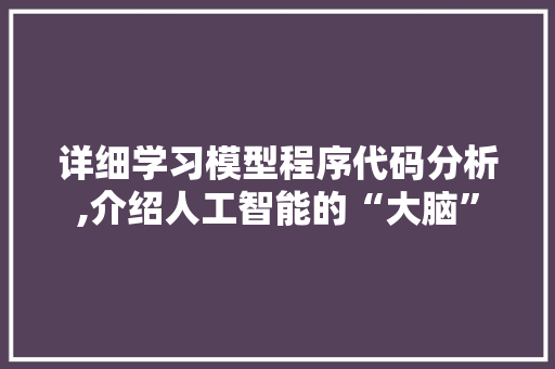 详细学习模型程序代码分析,介绍人工智能的“大脑” SEO关键词