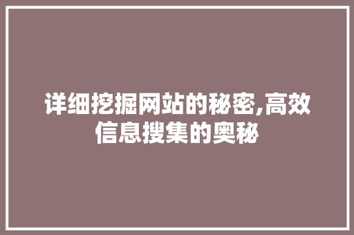 详细挖掘网站的秘密,高效信息搜集的奥秘 详细挖掘网站的秘密,高效信息搜集的奥秘 百度SEO