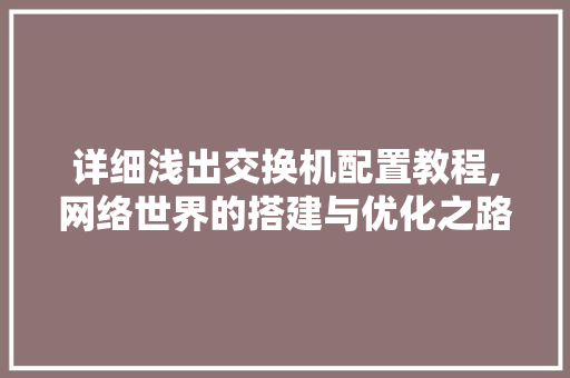 详细浅出交换机配置教程,网络世界的搭建与优化之路