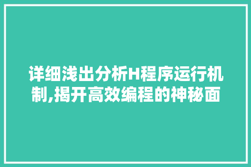 详细浅出分析H程序运行机制,揭开高效编程的神秘面纱 详细浅出分析H程序运行机制,揭开高效编程的神秘面纱 网站建设公司