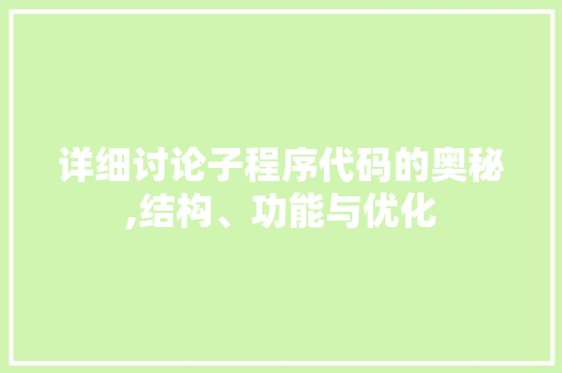 详细讨论子程序代码的奥秘,结构、功能与优化