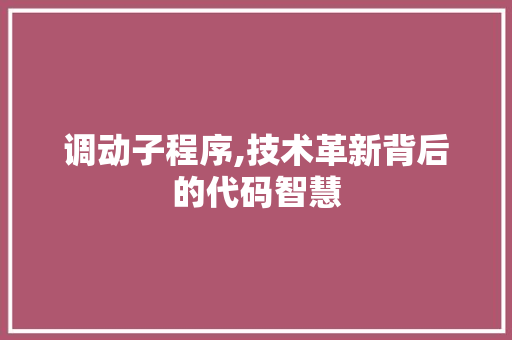 调动子程序,技术革新背后的代码智慧