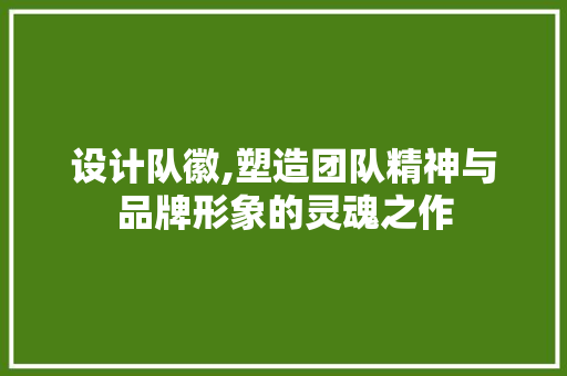 设计队徽,塑造团队精神与品牌形象的灵魂之作 设计队徽,塑造团队精神与品牌形象的灵魂之作 搜狗SEO