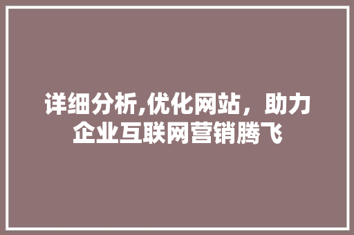 详细分析,优化网站，助力企业互联网营销腾飞 详细分析,优化网站，助力企业互联网营销腾飞 百度SEO