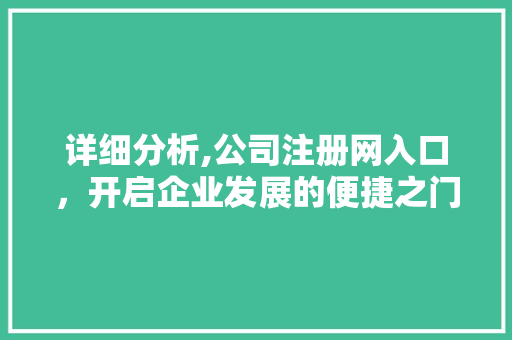 详细分析,公司注册网入口，开启企业发展的便捷之门