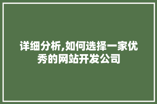 详细分析,如何选择一家优秀的网站开发公司