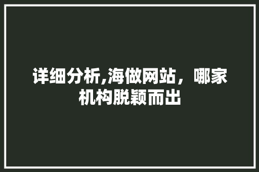 详细分析,海做网站，哪家机构脱颖而出 详细分析,海做网站，哪家机构脱颖而出 必应SEO