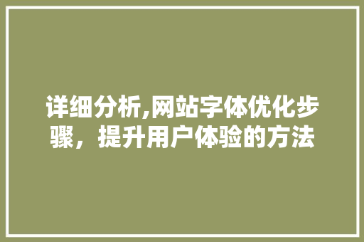 详细分析,网站字体优化步骤，提升用户体验的方法