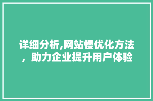 详细分析,网站慢优化方法，助力企业提升用户体验 详细分析,网站慢优化方法，助力企业提升用户体验 网站建设公司