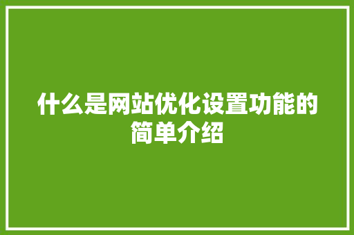 什么是网站优化设置功能的简单介绍
