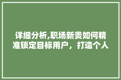 详细分析,职场新贵如何精准锁定目标用户，打造个人品牌