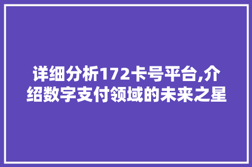 详细分析172卡号平台,介绍数字支付领域的未来之星