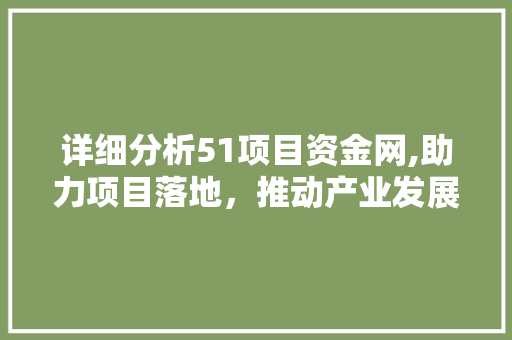 详细分析51项目资金网,助力项目落地，推动产业发展