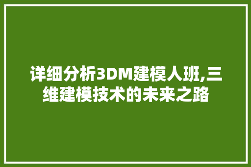详细分析3DM建模人班,三维建模技术的未来之路